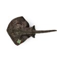 Rappa Plush stingray 50 cm ECO-FRIENDLY